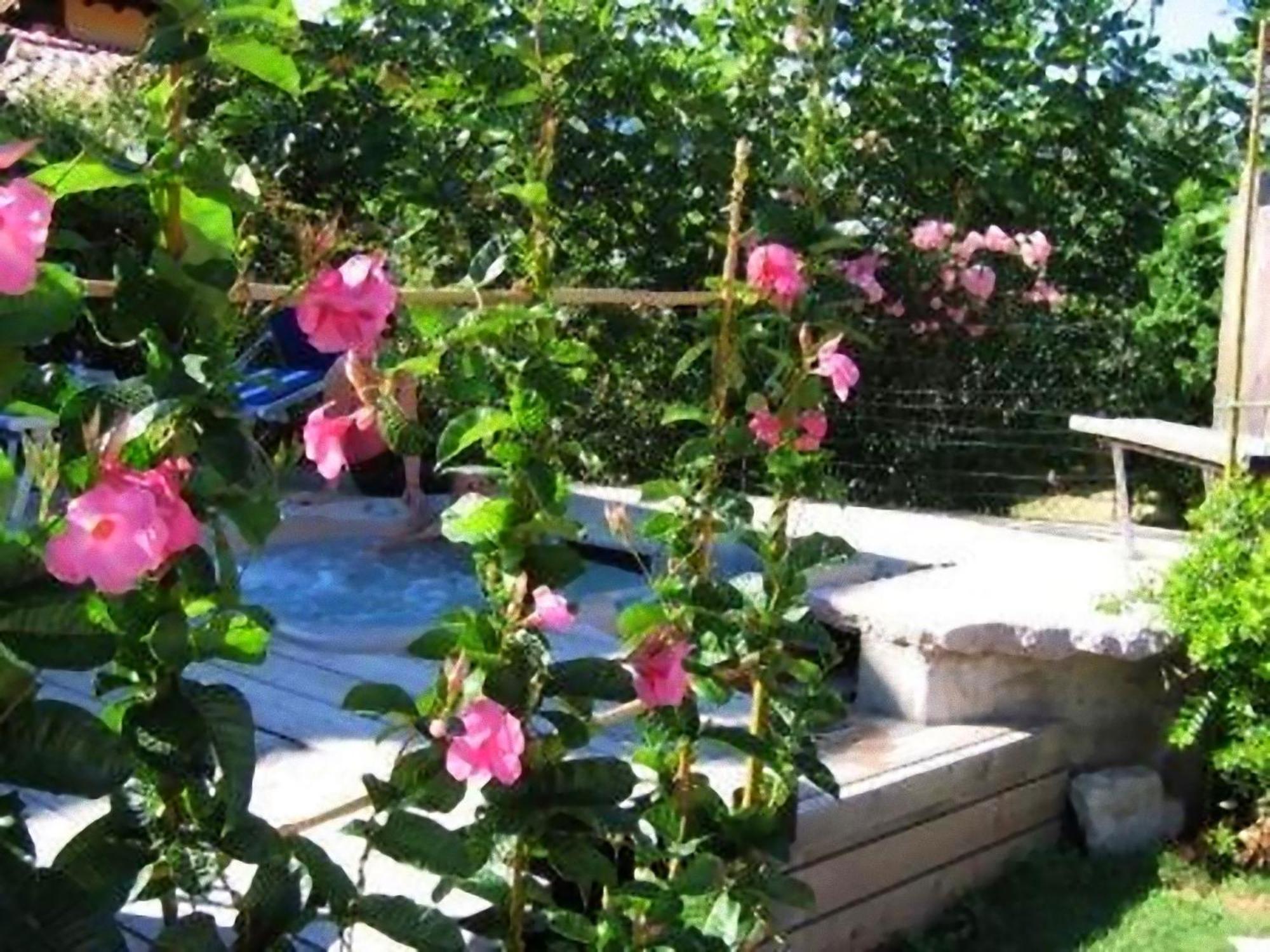 Hotel Luna Rossa (Adults Only) Malcesine Exterior photo