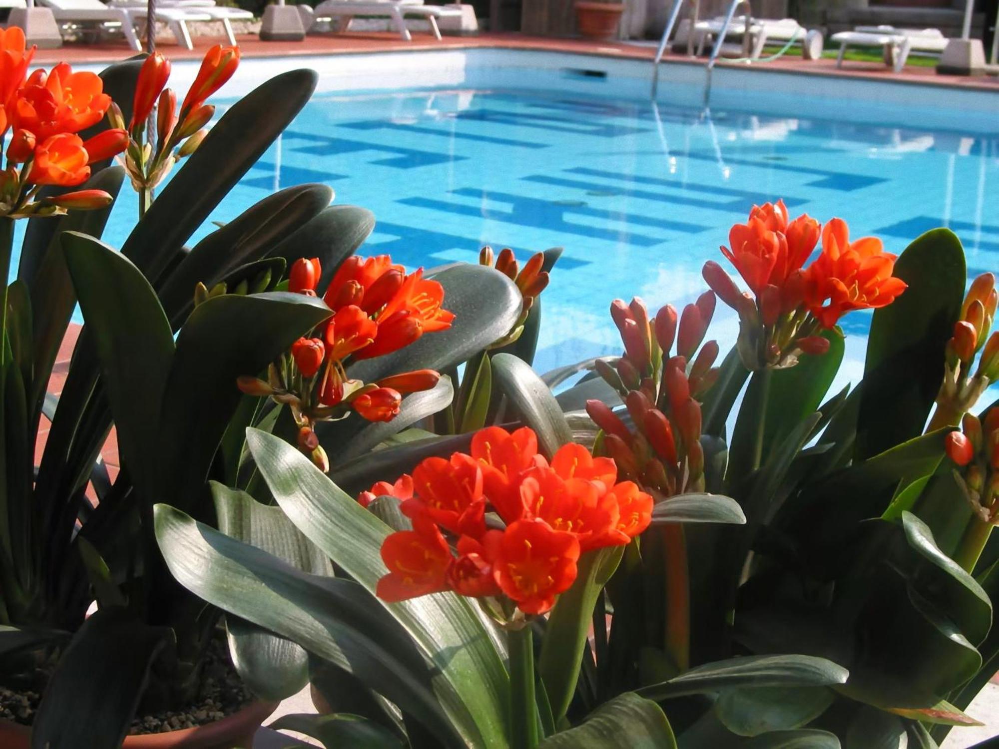 Hotel Luna Rossa (Adults Only) Malcesine Exterior photo
